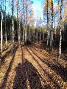 Príroda v okolí apartmánu