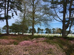 un champ de fleurs avec des arbres en arrière-plan dans l'établissement La Suite Le Nôtre, à Colleville-sur-Mer