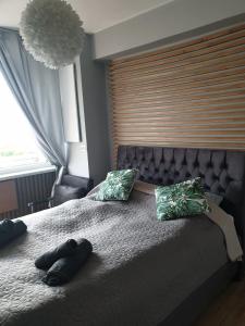 een slaapkamer met een groot bed met 2 kussens bij MM Luxus Meerblick Appartment 3 Personen in Międzyzdroje