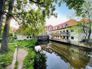 einen Fluss in einer Stadt mit Gebäuden und Bäumen in der Unterkunft Ferienwohnung Blickfang - Modernes Apartment direkt in der Altstadt von Erfurt mit Balkon - beste Lage und Aussicht in Erfurt