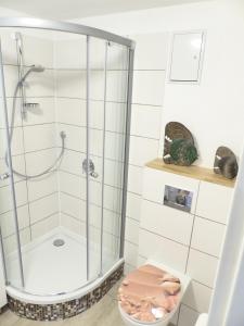 uma casa de banho com um chuveiro e um WC. em Ferienwohnung Sonnenstrahl em Walsrode