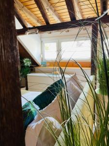 Zimmer mit einem Bett mit Kissen und Pflanzen in der Unterkunft Ferienhaus Zur Hofreite in Mainz