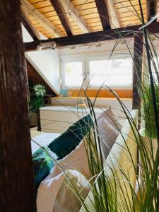 Habitación con cama con almohadas y plantas en Ferienhaus Zur Hofreite en Mainz