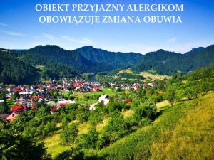 シュツァブニツァにあるWidokowy Szczawnicaの山を背景にした丘の上の小さな町