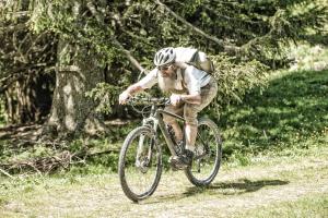 Rowery dostępne w obiekcie Bergparadies - inklusive Eintritt in die Alpentherme lub w pobliżu