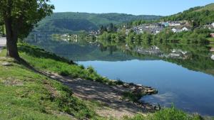 Fotografie z fotogalerie ubytování Apartment Moseltraum v destinaci Zell an der Mosel