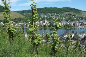 Fotografie z fotogalerie ubytování Apartment Moseltraum v destinaci Zell an der Mosel