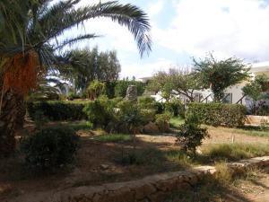 A garden outside Zorbas Rooms