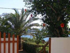 A garden outside Zorbas Rooms