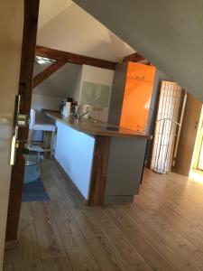 eine Küche mit einer Arbeitsplatte in einem Zimmer in der Unterkunft Haus Galgenbruch in Feldberg