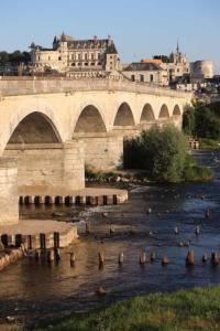un pont sur une rivière avec des canards dans l'eau dans l'établissement Le 17 Entre Gare et Château, à Amboise