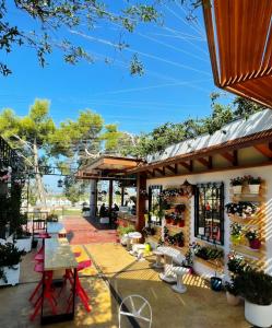 Fotografie z fotogalerie ubytování Divjaka Resort v destinaci Divjakë