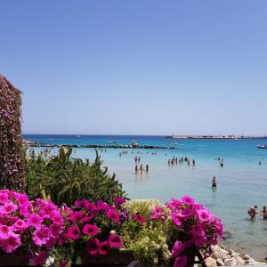 eine Gruppe von Menschen im Wasser am Strand in der Unterkunft Casa Vacanze Ottantapassi in Otranto