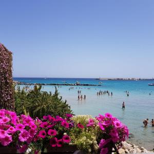 un gruppo di persone in acqua in spiaggia di Casa Vacanze Ottantapassi a Otranto