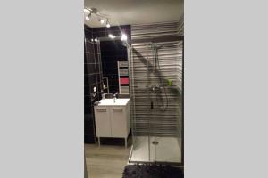 a bathroom with a shower and a sink at Appartement T2 terrasse vue mer à 180 in Propriano +8 photos