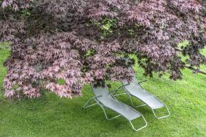 Giardino di Haus Ruepp
