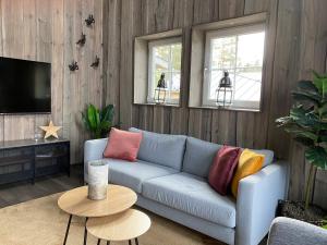 a living room with a blue couch with colorful pillows at Modern stuga nära skidbacken in Järvsö