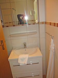 a bathroom with a sink and a mirror at "Landhaus Voss" Typ 1 Nr2 in Staberdorf