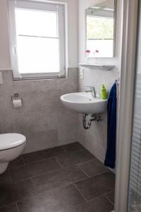 ein Bad mit einem Waschbecken, einem WC und einem Fenster in der Unterkunft Ferienwohnung Naumann in Schotten