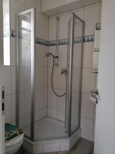 a shower with a glass door in a bathroom at Ostseetraum 3 Graal-Mueritz in Gelbensande