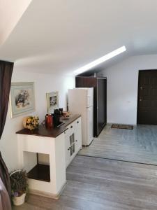 a kitchen with a counter and a refrigerator at Apartament Fluturaș de Stâncă Comarnic in Comarnic