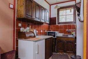 Una cocina o cocineta en Kuća za odmor Đurđević