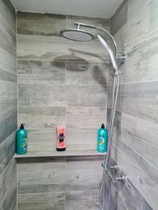 a bathroom with a shower with two soap bottles at Bruxelles airport Charleroi C nouvelle gérance in Charleroi +42 photos