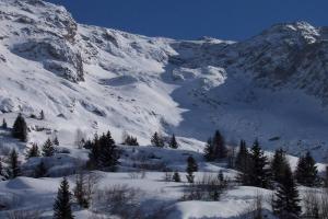 a snow covered mountain with trees in the foreground at Rustic & A Chalet 'Le Sert du Grey - Vaujany in Vaujany +9 photos