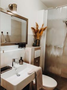 a bathroom with a sink and a toilet and a mirror at Berggeflüster Winterberg- im Herzen Winterbergs in Winterberg +23 photos