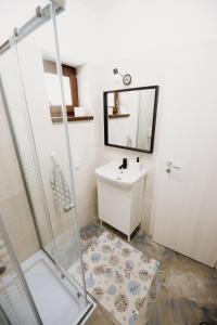 a bathroom with a sink and a shower at Suzanne Băile Figa- camere tip hotel in Beclean