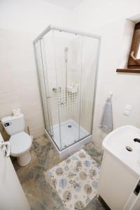 a bathroom with a shower and a toilet and a sink at Suzanne Băile Figa- camere tip hotel in Beclean