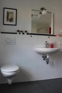 a bathroom with a toilet and a sink and a mirror at Turmfalke in Bad Sülze