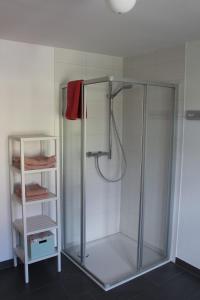 y baño con ducha con puerta de cristal y estantería. en Turmfalke en Bad Sülze