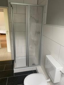 ein Bad mit einer Dusche und einem WC in der Unterkunft Haus Aaliyah in Helmstedt