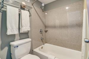 a bathroom with a toilet and a bath tub with towels at Budget Inn Top of Ellijay in Ellijay