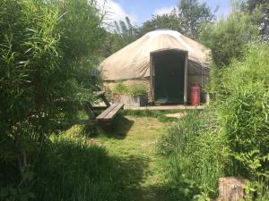 a yurt in a field with a bench and trees at Yurt luxury + Bathhouse in Callington