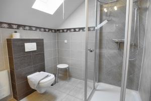 ツィングストにあるAtelier "Meeresbrise" FW 9のバスルーム(トイレ、シャワー付)