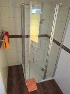 a shower with a glass door in a bathroom at Spreewaldhof Schupan - Fewo Spreewaldsonne in Burg Kauper