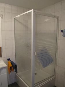 a shower with a glass door in a bathroom at Ferienwohnung Mauer, Wohnung "Ost" in Heede