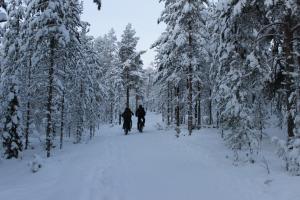 2 personnes à vélo sur un chemin enneigé dans l'établissement Studio Kaarto, à Rovaniemi