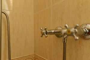 un soffione doccia con tubo in bagno di Villa Isabelita a Torremolinos Altre 52 foto