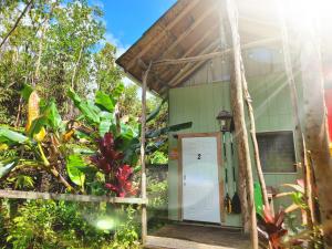 a small green building with a white door at #2 cabin in Volcano with Private kitchen&bathroom in Fern Forest