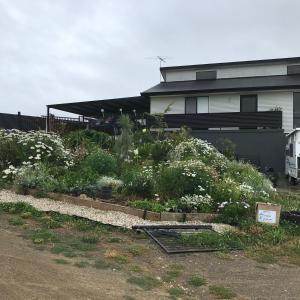 a garden with white flowers in front of a house at Art House in Huonville