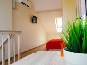 TV a/nebo společenská místnost v ubytování Irinos Apartamentai