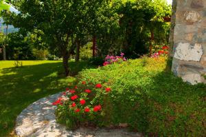 Vonkajšia záhrada v ubytovaní Elise Cottage