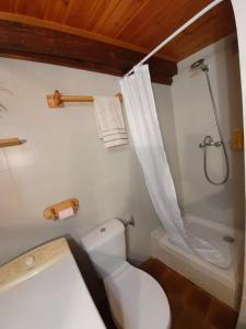 聖馬丹韋敘比耶的住宿－Un studio, une Histoire : Le palais Gubernatis.，浴室配有白色卫生间和淋浴。