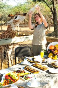 une femme nourrissant une girafe à une table avec de la nourriture dans l'établissement Sondela Nature Reserve & Spa Chalets, à Bela-Bela