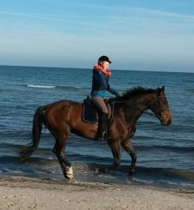 Una mujer montando a caballo en la playa en Ferienwohnung "Nordstrand", en Prerow