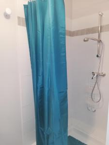 bagno con doccia con tenda blu di Meublés de tourisme LE TRIANON et LE PETIT TRIANON a Saint-Junien