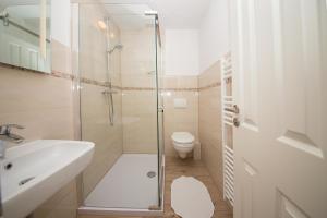 a bathroom with a shower and a toilet and a sink at Schleiblick App 5 in Rabenkirchen-Faulück